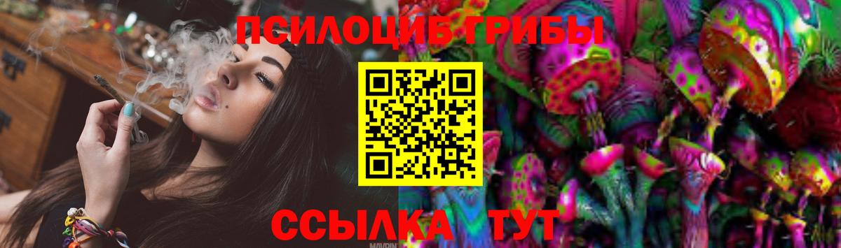 Шатура  Галлюциногенные грибы мухоморы  Вход с VPN  Галлюциногенные грибы GOLDEN TEACHER 
